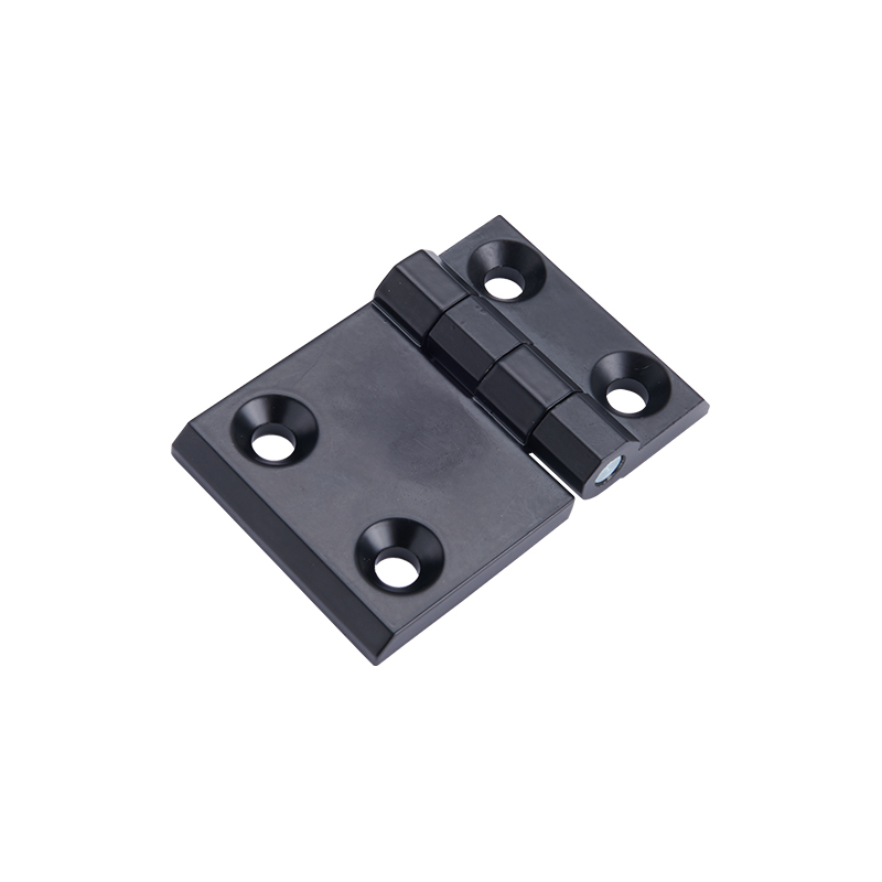 CL233-2-2 Elektroliz veya Parlatma Paslanmaz Çelik Menteşe ve Pim